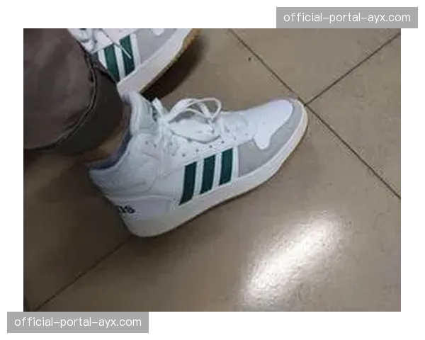 运动品牌推出2026年春季系列，主打“轻量速攻”篮球鞋款